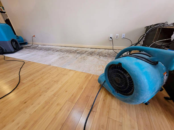 Reliable Basement Flood Cleanup contractor in Auburn, NE by Hirex Water Damage