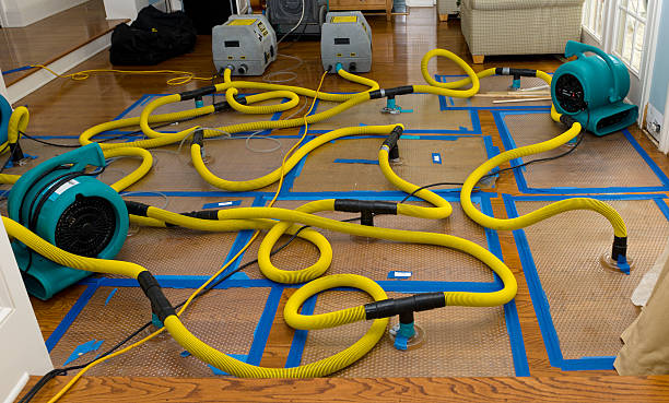 Professional Basement Flood Cleanup technician working in Auburn, NE